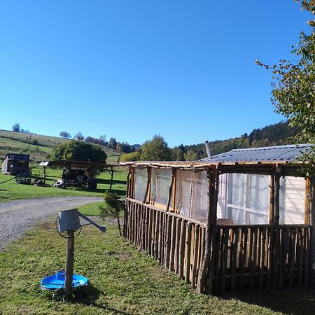 Altana Caloroczna Vira Numer 7 Herbergerowka Agroturystyka Na Wsi Duszniki Zdroj Exterior photo