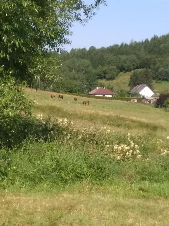 Altana Caloroczna Vira Numer 7 Herbergerowka Agroturystyka Na Wsi Duszniki Zdroj Exterior photo