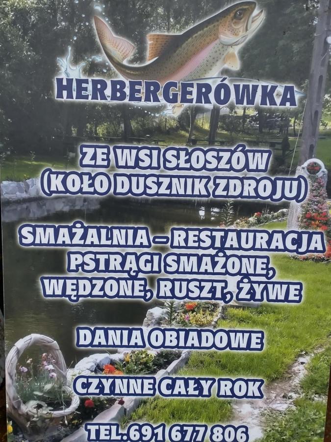 Altana Caloroczna Vira Numer 7 Herbergerowka Agroturystyka Na Wsi Duszniki Zdroj Exterior photo